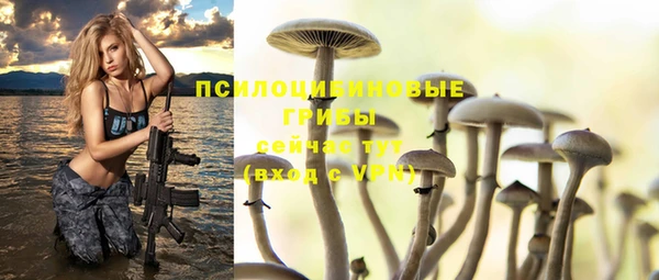 гашик Каменногорск